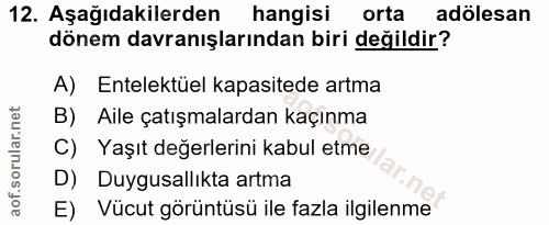 Soru 12