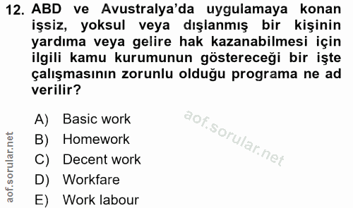 Soru 12