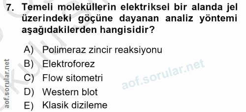 Soru 7