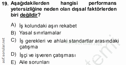 Soru 19