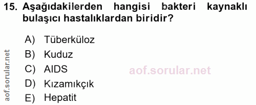 Soru 15
