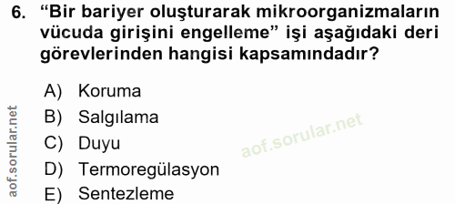 Soru 6