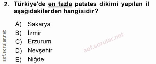 Soru 2