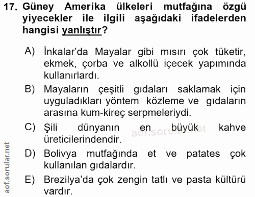 Soru 17
