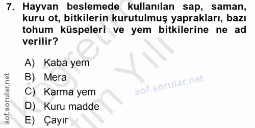 Soru 7