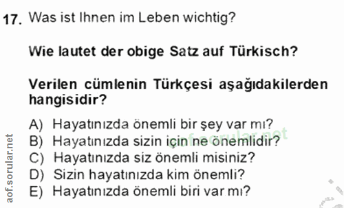 Soru 17