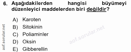Soru 6