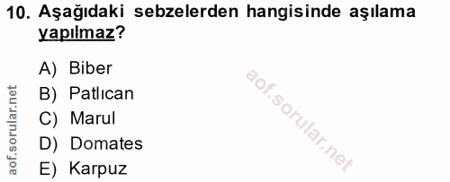 Soru 10