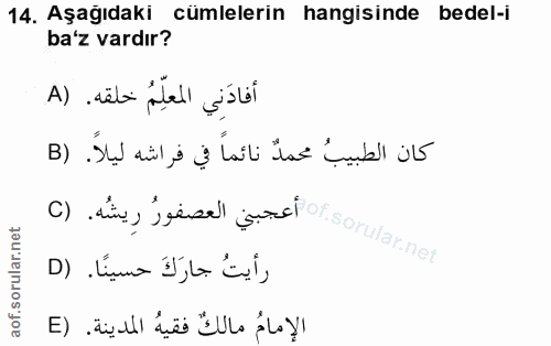 Soru 14