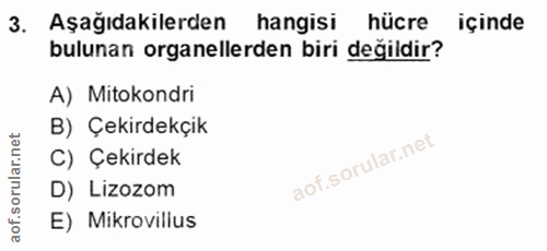 Soru 3