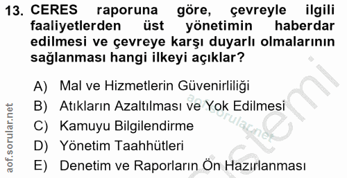 Soru 13
