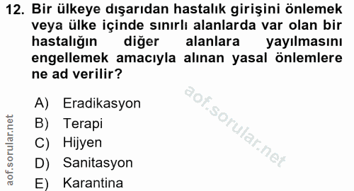 Soru 12