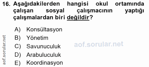 Soru 16