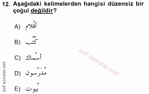 Soru 12