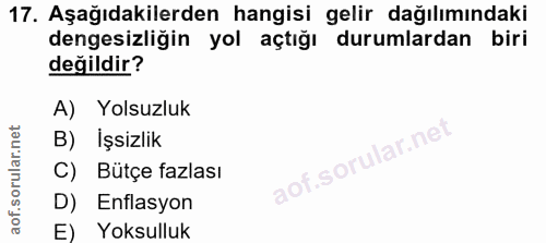 Soru 17