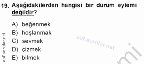 Soru 19