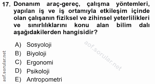Soru 17