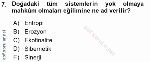 Soru 7