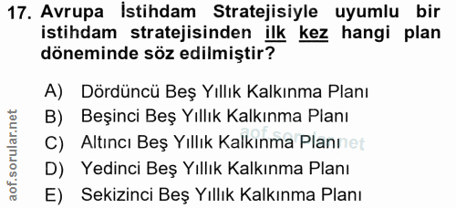 Soru 17