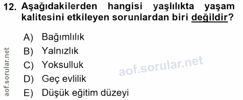 Soru 12