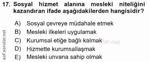 Soru 17