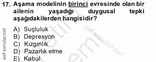 Soru 17
