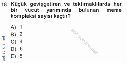 Soru 18