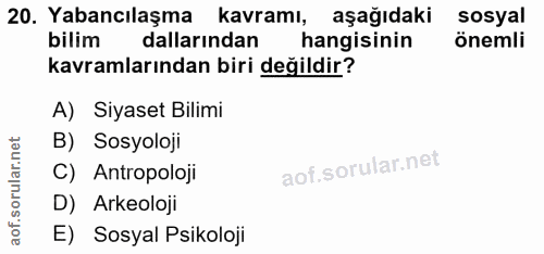 Soru 20