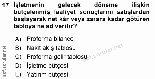 Soru 17