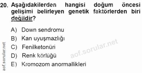 Soru 20