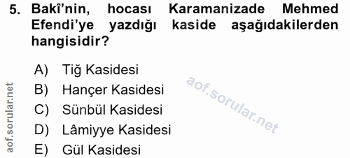 Soru 5
