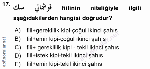 Soru 17