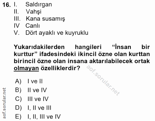 Soru 16
