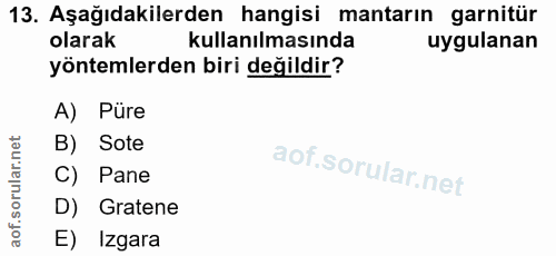 Soru 13