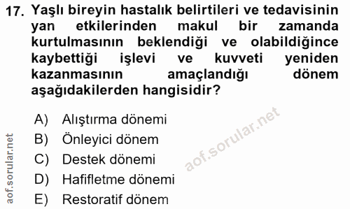 Soru 17