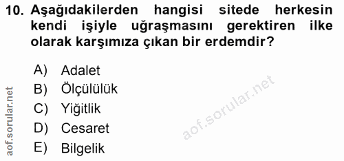 Soru 10