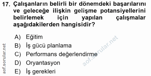 Soru 17