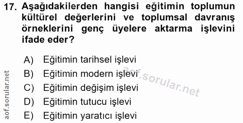 Soru 17