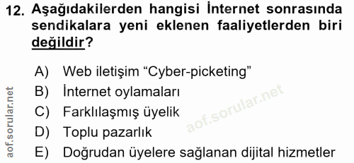 Soru 12