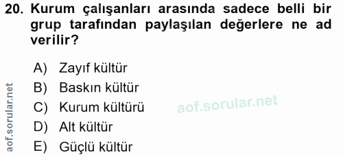 Soru 20