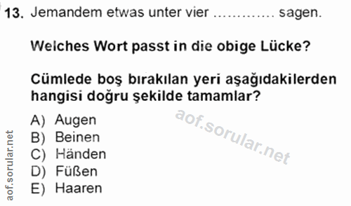Soru 13