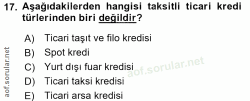Soru 17