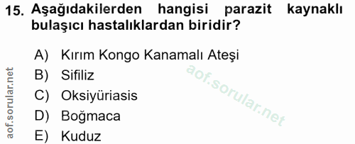 Soru 15