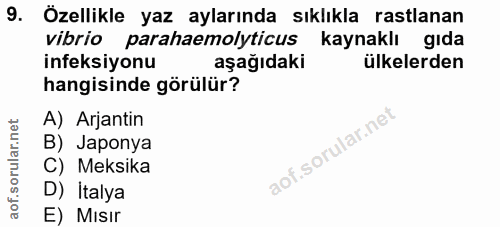 Soru 9