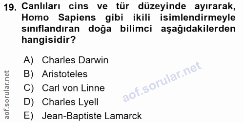 Soru 19