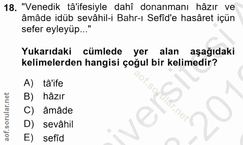 Soru 18