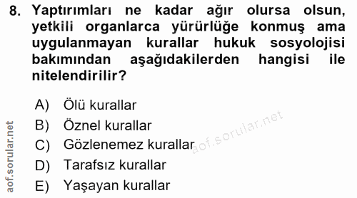 Soru 8