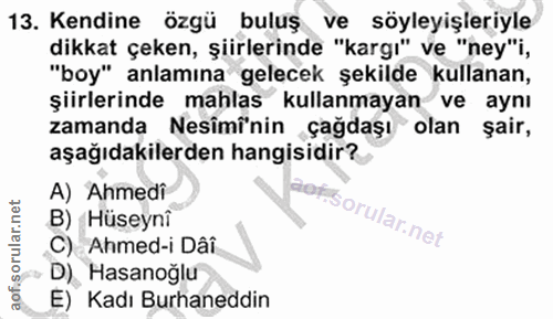 Soru 13
