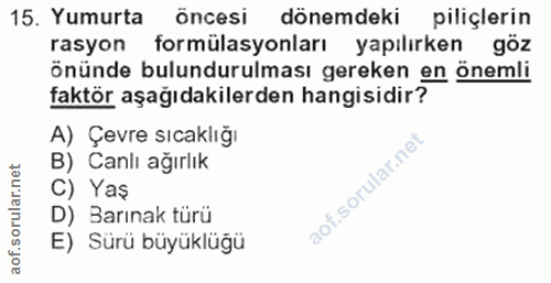 Soru 15