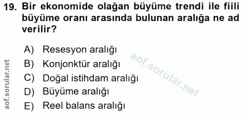 Soru 19